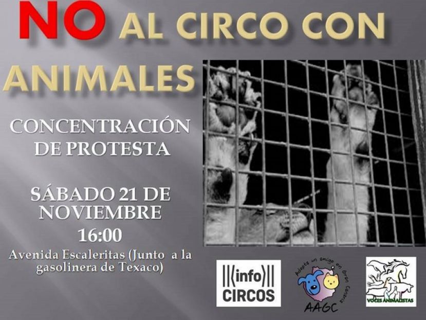 Concentraci&oacute;n en Las Palmas de Gran Canaria contra el Circo Kaos