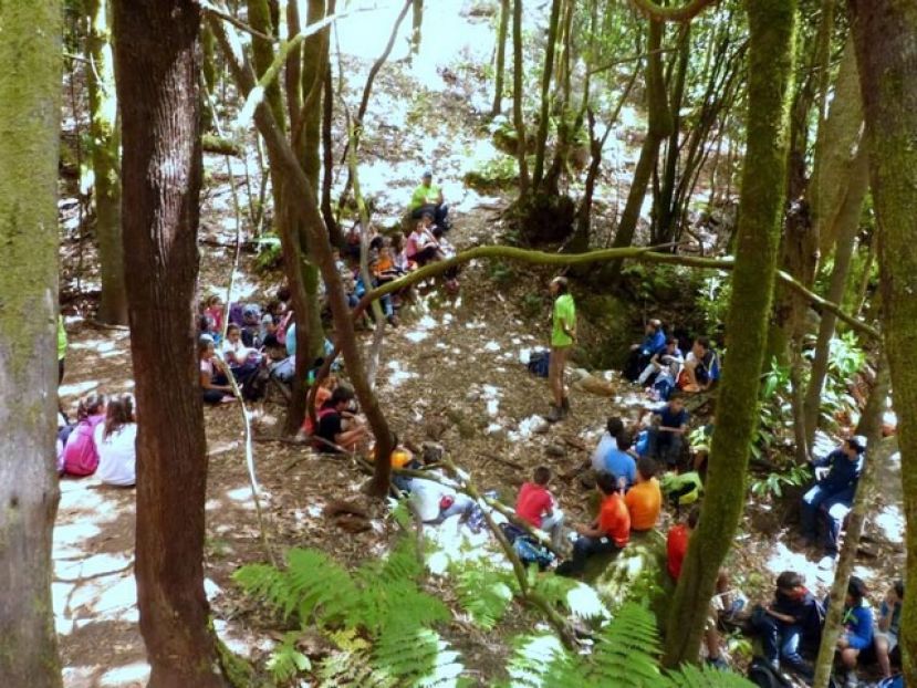 La Gomera: El Campamento del Cedro, escuela de vida y naturaleza