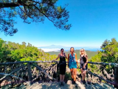 Agentes de viajes belgas visitan La Gomera para promocionar la oferta tur&iacute;stica de la isla