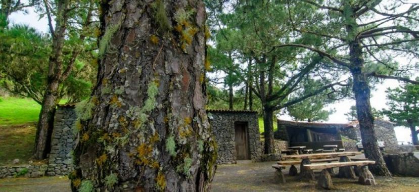 La Gomera levanta la prohibici&oacute;n de hacer fuego en la zona recreativa de Las Nieves