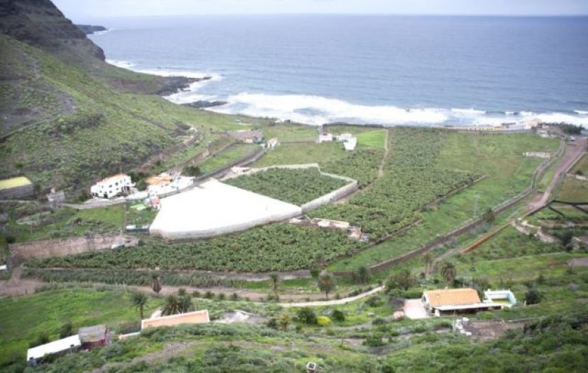 El Ayuntamiento de Gu&iacute;a apoya a ASPROCAN en sus reivindicaciones con el pl&aacute;tano