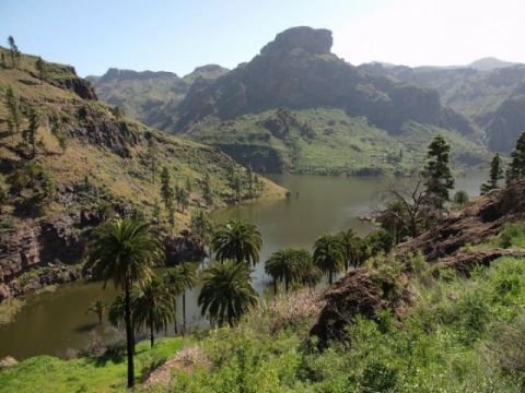 Ben Magec estudiar&aacute; la Declaraci&oacute;n de Impacto Ambiental del proyecto Chira-Soria