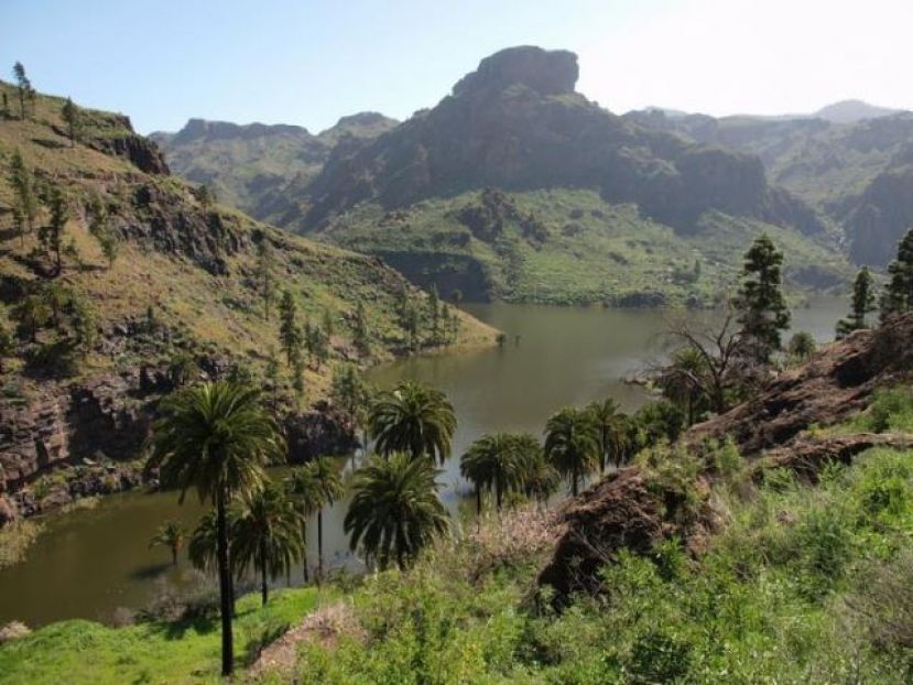 Ben Magec estudiará la Declaración de Impacto Ambiental del proyecto Chira-Soria