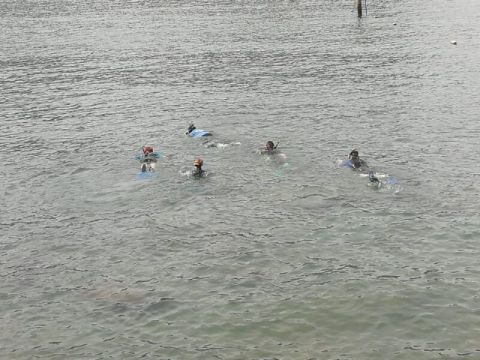 Éxito en la actividad de snorkel celebrada en la playa de La Aldea