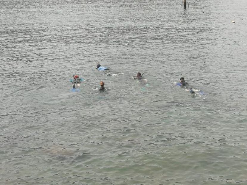 Éxito en la actividad de snorkel celebrada en la playa de La Aldea