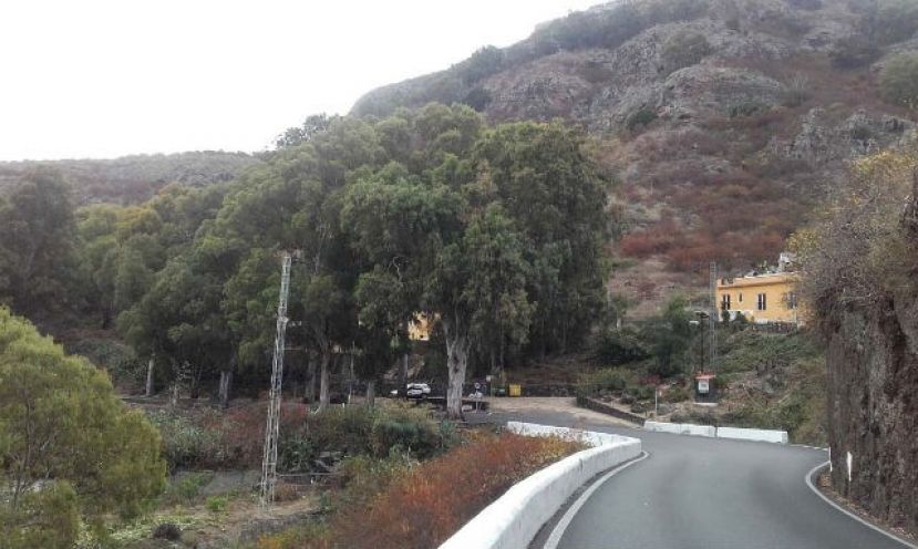 Adjudicadas por 4,2 millones las obras del acondicionamiento de carretera en Teror