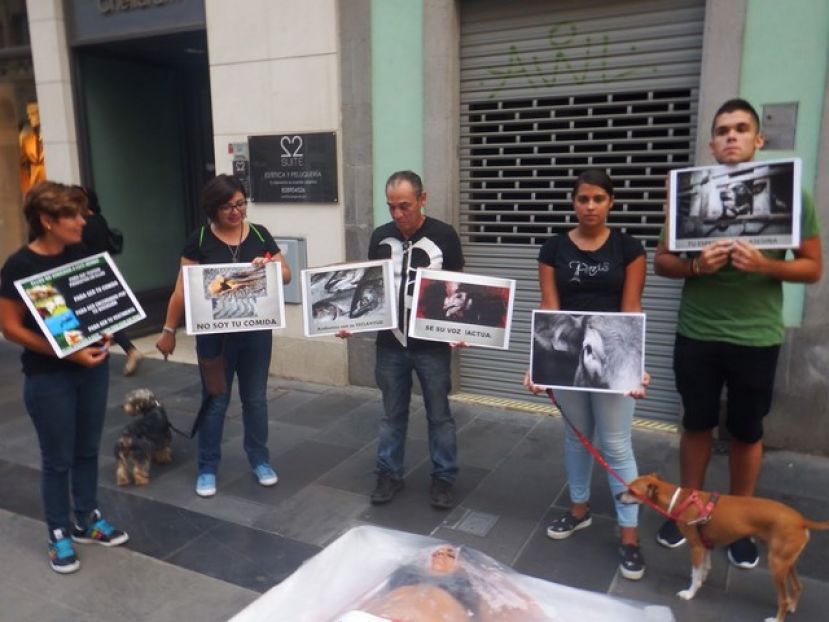 Concentración en defensa de todos los derechos de los animales no humanos