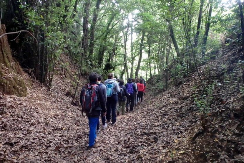 Aprobada la redacción del Plan Rector de Uso y Gestión del Parque Rural de Doramas