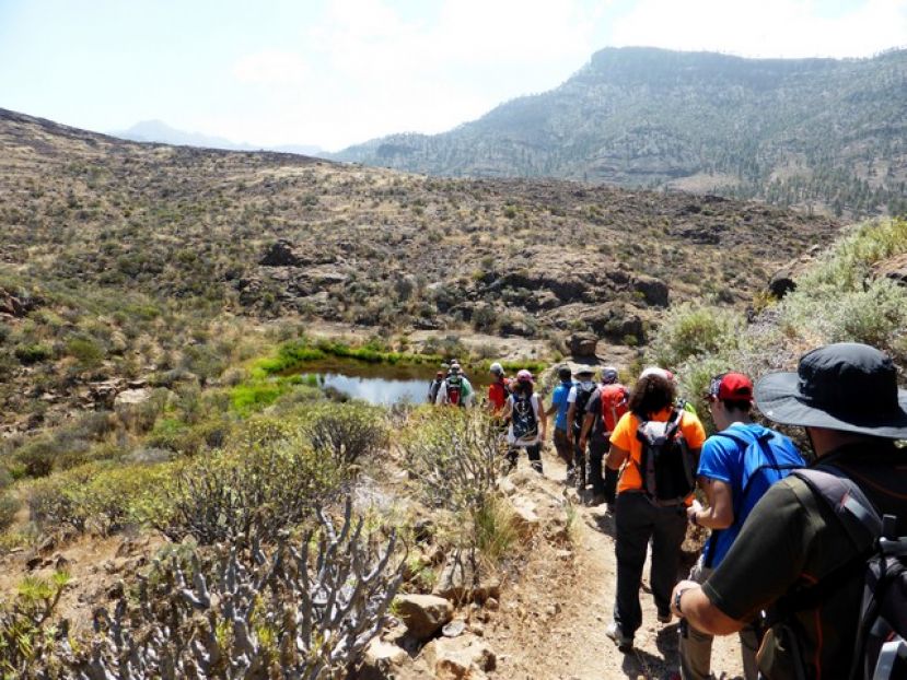 Colectivo Turcón-Ecologistas en Acción: ¡Engánchate a Gran Canaria!