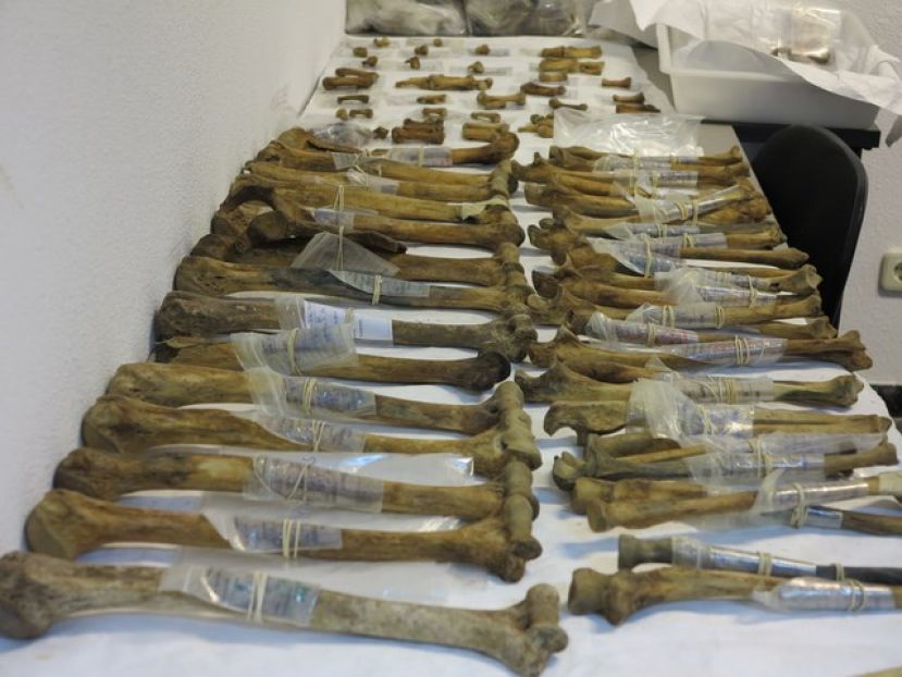 EL CABILDO CELEBRA LA PRIMERA DE LAS CUATRO VISITAS GUIADAS A DOS DE LOS POZOS EMPLEADOS EN LA DESAPARICI&Oacute;N DE LOS REPRESALIADOS DE 1937