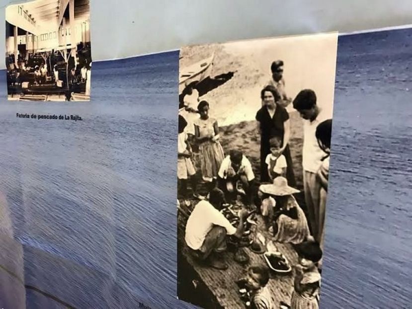 La Gomera: Mujeres luchadoras que sustentan nuestro entorno rural