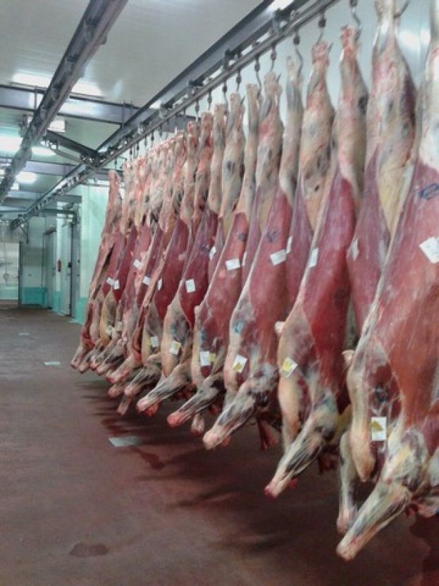 El consumo de baifo vuelve a las mesas isle&ntilde;as por Navidad