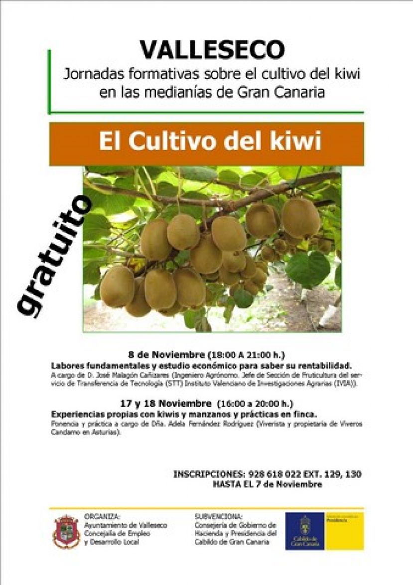 Valleseco promueve el cultivo de kiwi en las median&iacute;as de Gran Canaria