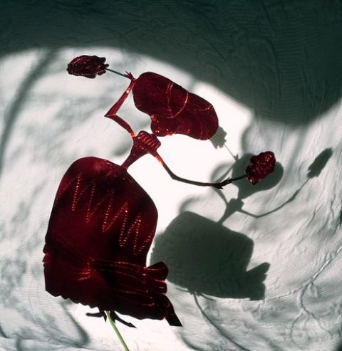 Teatro para el mes de mayo: &lsquo;Pieles&rsquo;, &lsquo;Agamen&oacute;n&rsquo; y la Muestra de Teatro Popular