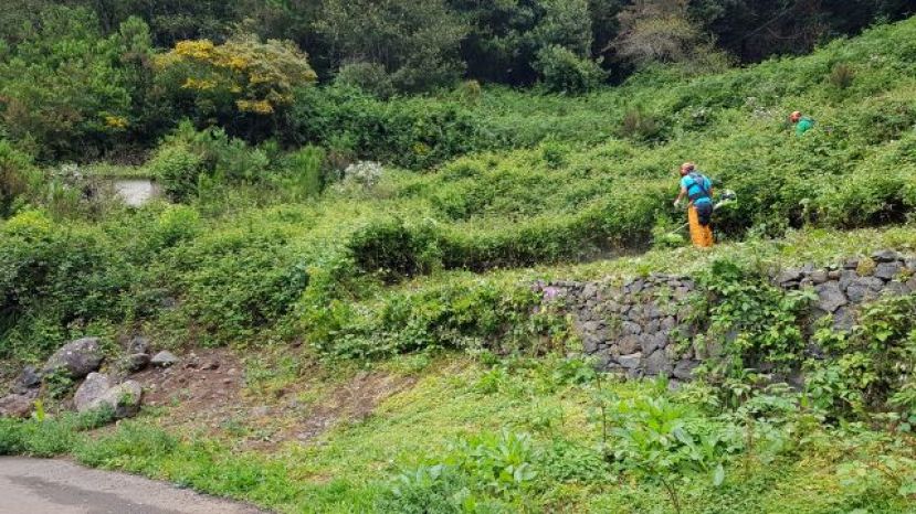 La Gomera refuerza la recuperaci&oacute;n de infraestructuras p&uacute;blicas agr&iacute;colas