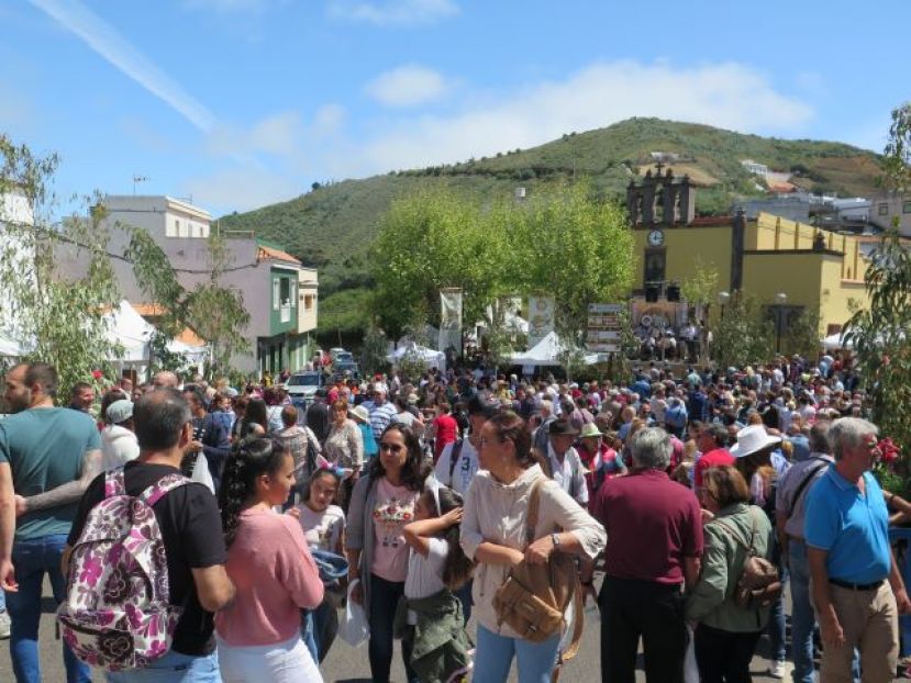 Gu&iacute;a: La Fiesta del Queso de Monta&ntilde;a Alta acogi&oacute; hoy a miles de visitantes