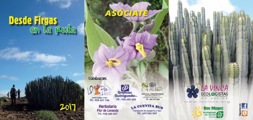 Firgas: Vuelve el Programa de Senderismo &ldquo;DESDE FIRGAS EN LA RUTA 2017&rdquo;