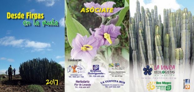 Firgas: Vuelve el Programa de Senderismo &ldquo;DESDE FIRGAS EN LA RUTA 2017&rdquo;