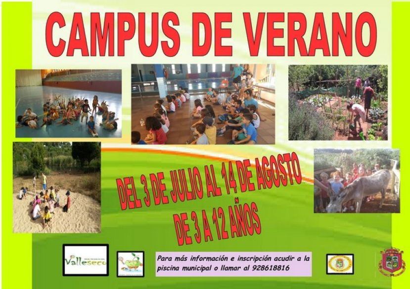 Llega una nueva edición del Campus de Verano de Valleseco