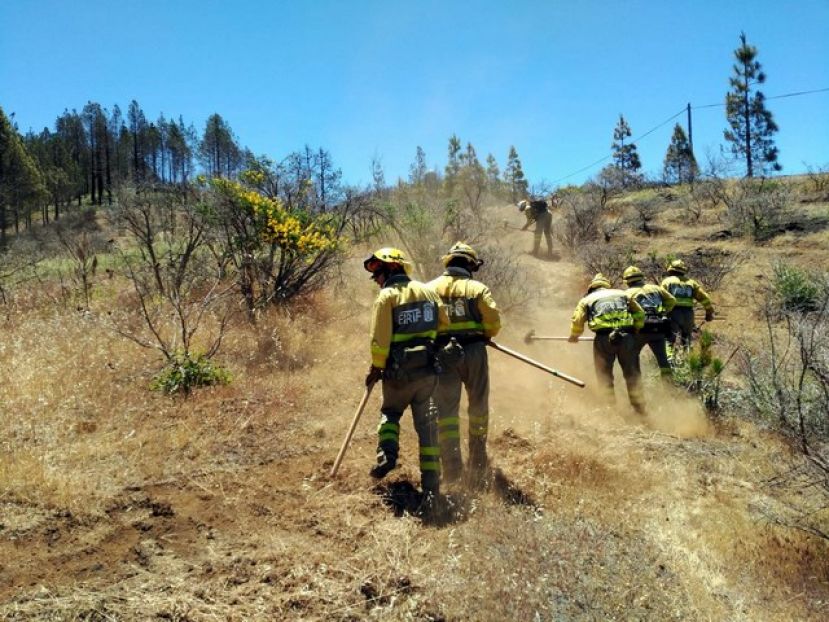 Simulacro de incendio forestal en la cumbre de Gran Canaria