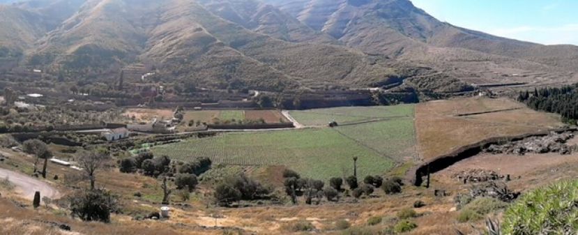 Se pone en marcha el 'Banco de Tierras de Agaete'