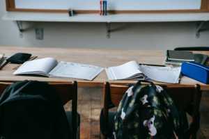 Incorporación de estudiantes gomeros al Programa de Estímulo Talento Matemático
