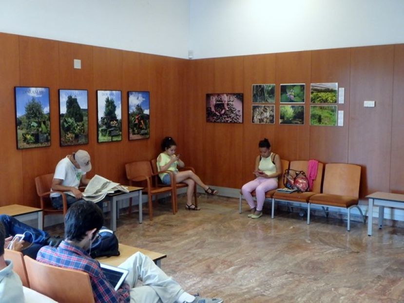 Inaugurada la Exposici&oacute;n Documental &ldquo;LA SELVA DE DORAMAS"