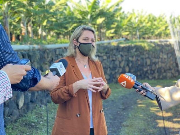 El Gobierno de Canarias convoca ayudas del POSEI adicional para la campaña 2020