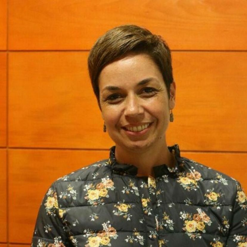 Guía: Naiara del Pino Sosa ha presentado su renuncia al acta de concejal