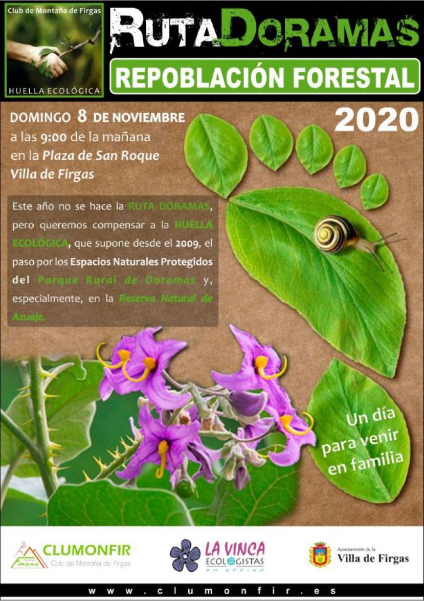 Nueva Plantaci&oacute;n de Laurisilva el domingo 8 de noviembre  en la Monta&ntilde;a de Firgas