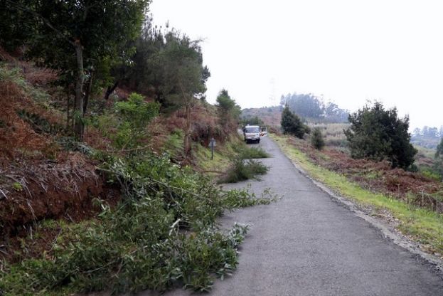 Valleseco: limpieza y poda en altura de los m&aacute;rgenes de la carretera El Pico