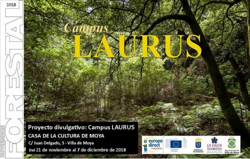 Noviembre Forestal 2018 se acerca a Moya con la Exposici&oacute;n &ldquo;Campus Laurus&rdquo;