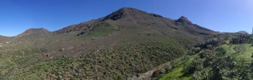 Uso de campos de entrenamiento de perros cazadores, cetrería y caza con arco de GC