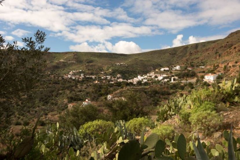 SE INICIAN LAS VISITAS GUIADAS DEL CABILDO A LAS CUEVAS Y GRANEROS DE LA AUDIENCIA DE AG&Uuml;IMES