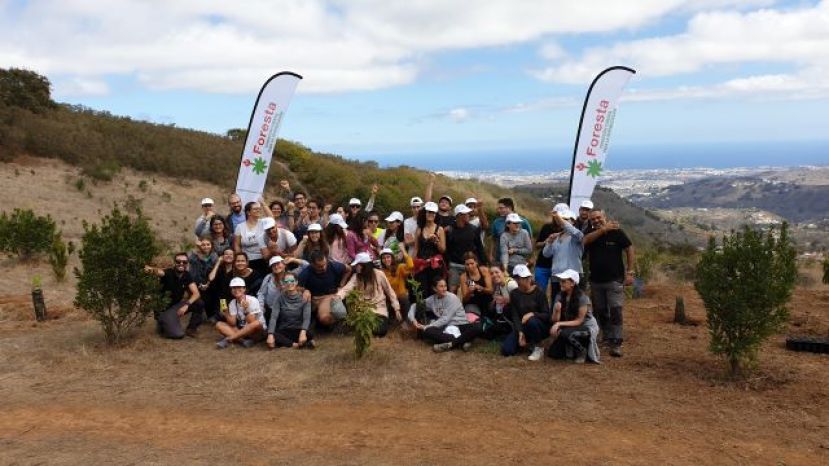 Foresta celebra su 22 aniversario con más de 548.000 árboles plantados en la cumbre