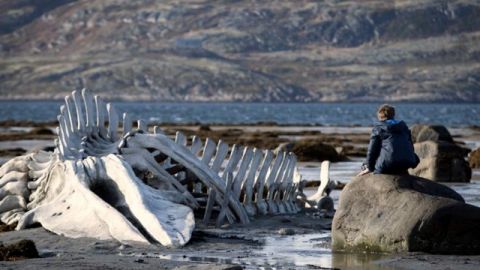 ‘Leviathan’, tercera de las películas del ciclo que impulsa el Club de Cine ‘Cambio de Rollo’