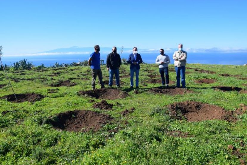 G&aacute;ldar: FORESTA concluye la plantaci&oacute;n de 1200 &aacute;rboles en la zona de Samarrita