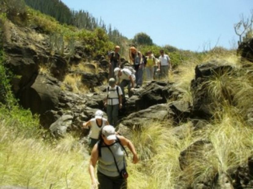 Valleseco te organiza una caminata por el Camino de Rompeserones
