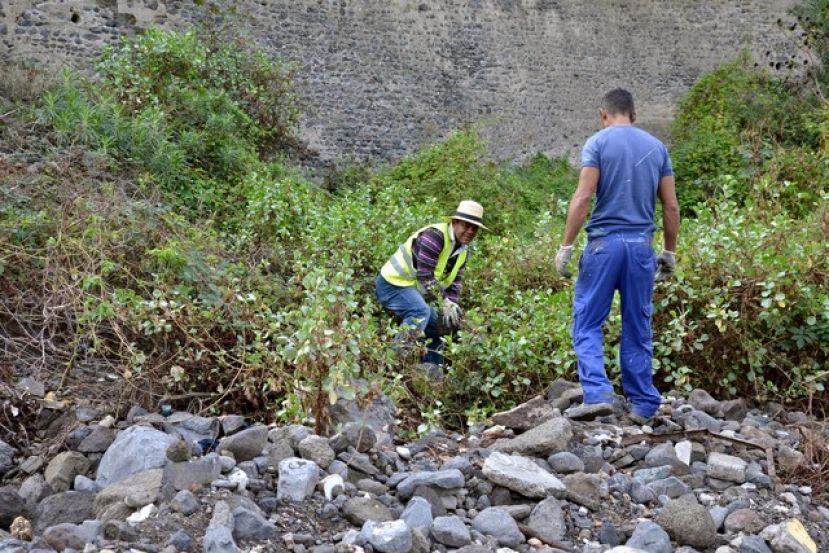 El Cabildo destina 5,2 millones de euros a obras en la capital grancanaria