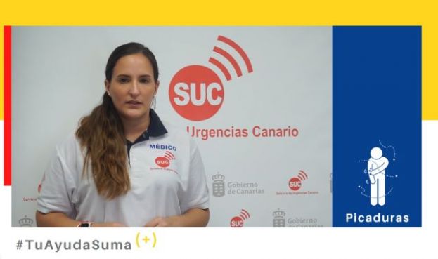 El SUC recuerda c&oacute;mo prevenir y c&oacute;mo actuar ante picaduras de insectos o medusas