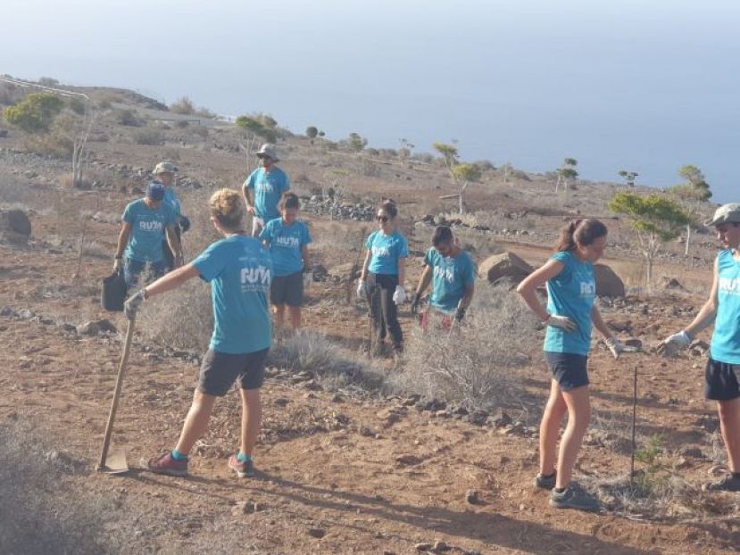 La Gomera: El Cabildo acerca el proyecto &lsquo;Pl&aacute;ntate&rsquo; a los alumnos de Ruta Siete