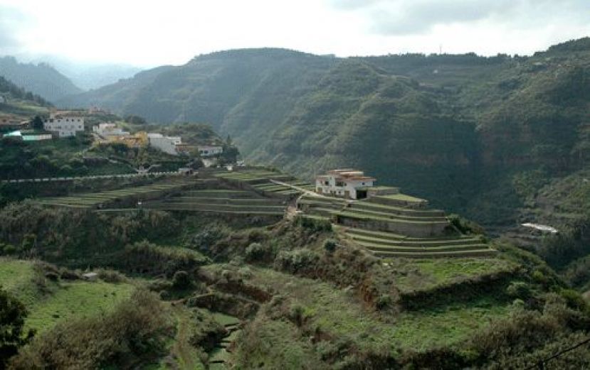 Firgas: Curso "Eficiencia en el manejo del agua de riego"