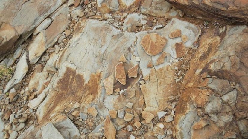 El Cabildo restaura un grabado rupestre in&eacute;dito que fue descubierto por un ciudadano de Telde en la zona sur