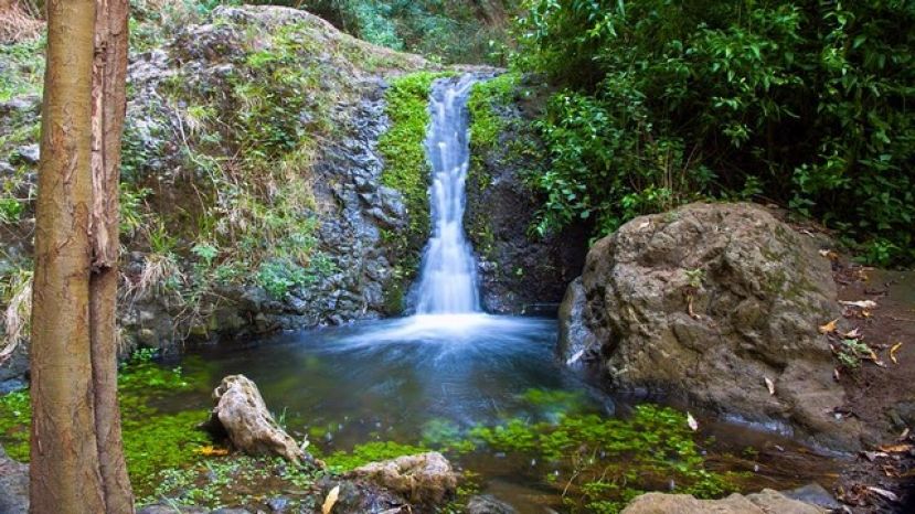 Valleseco se va de pateo por el Barranco de Azuaje