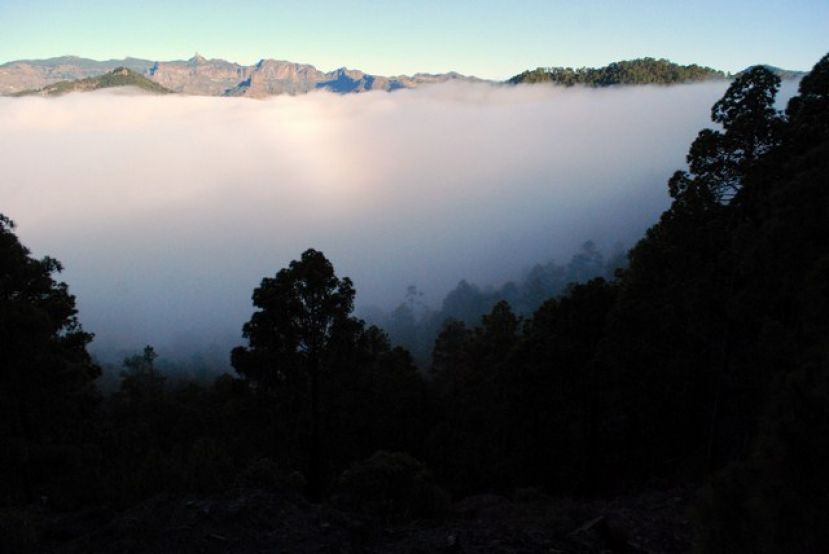 Valleseco comienza la temporada de senderismo por la zona de Tamadaba