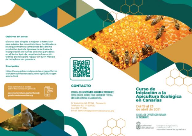 La Consejería impulsa la formación en apicultura ecológica
