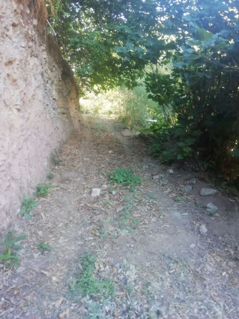 Cerca de 100 fincas de alto riesgo de incendio de GC quedan libres de maleza