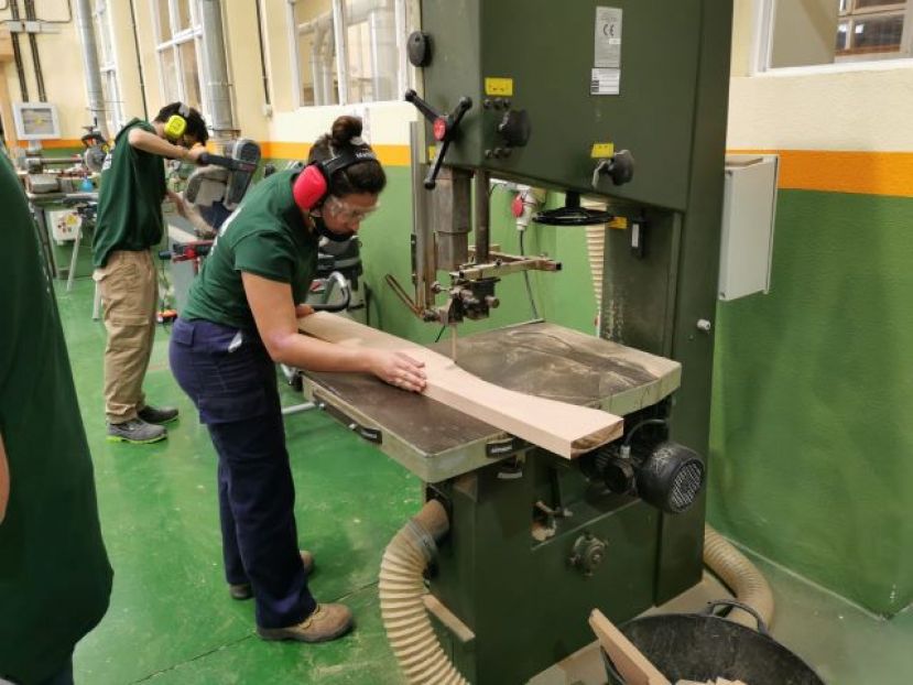 Educación convoca sus Premios de Emprendimiento, Formación Profesional, Artes Plásticas y Diseño 2020-21