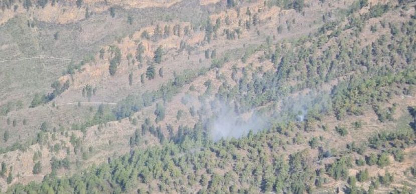 El Gobierno de Canarias declara controlado el incendio forestal de Arico, en Tenerife