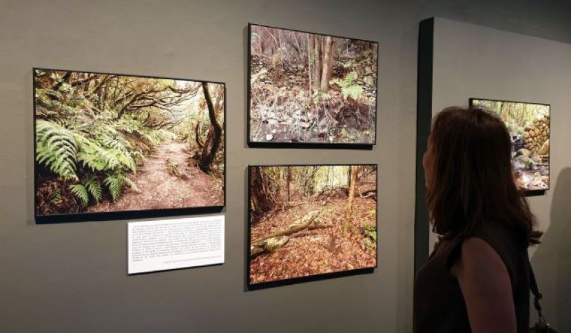 Prorrogada la exposici&oacute;n &lsquo;Descubriendo los paisajes de la laurisilva&rsquo;